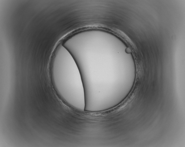 X0000112940831200908241005