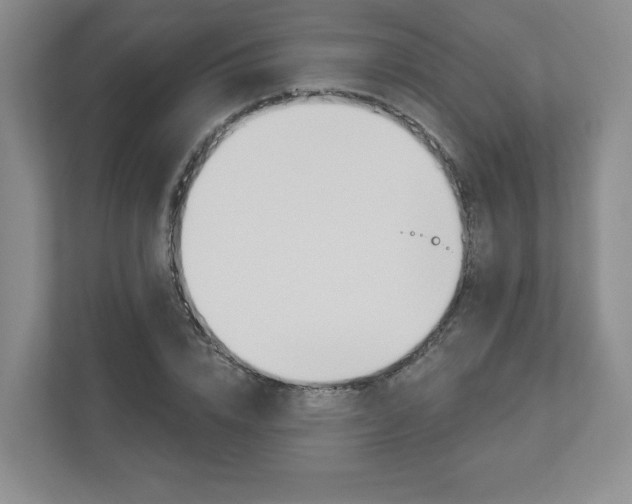 X0000112940832200908241005