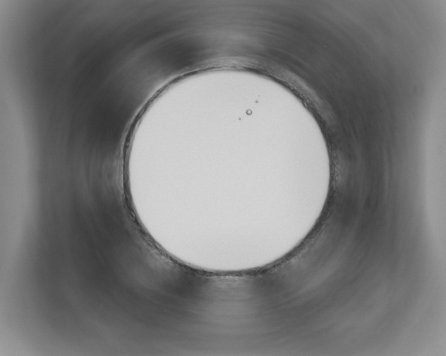 X0000112940836200908241005