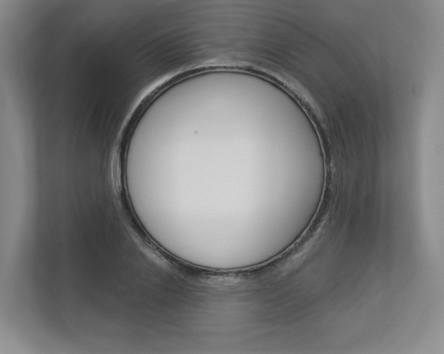 X0000112940838200908241005