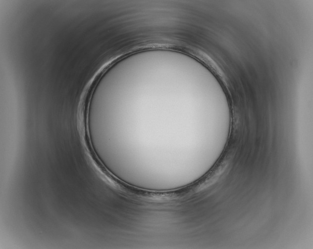 X0000112940843200908241005