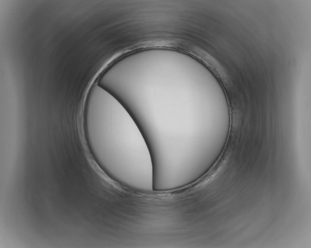 X0000112940844200908241005