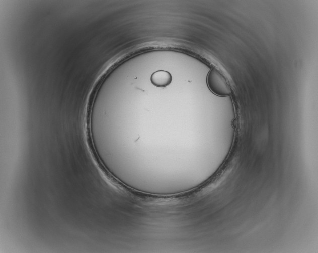 X0000112940845200908241005