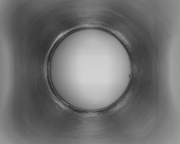 X0000112940846200908241005