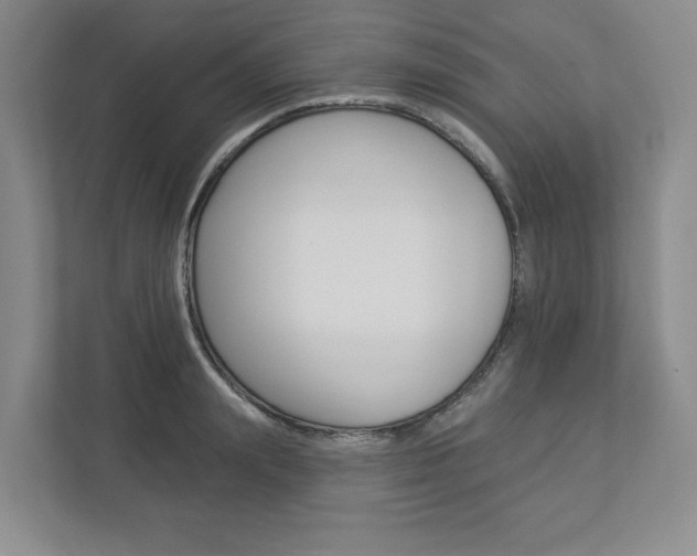 X0000112940847200908241005