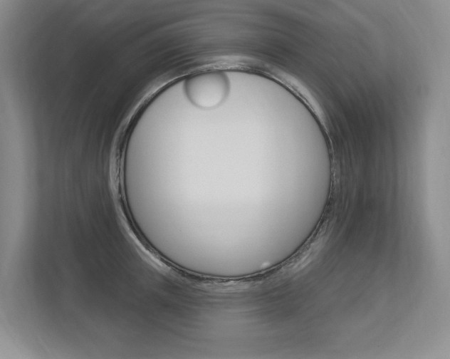 X0000112940851200908241005