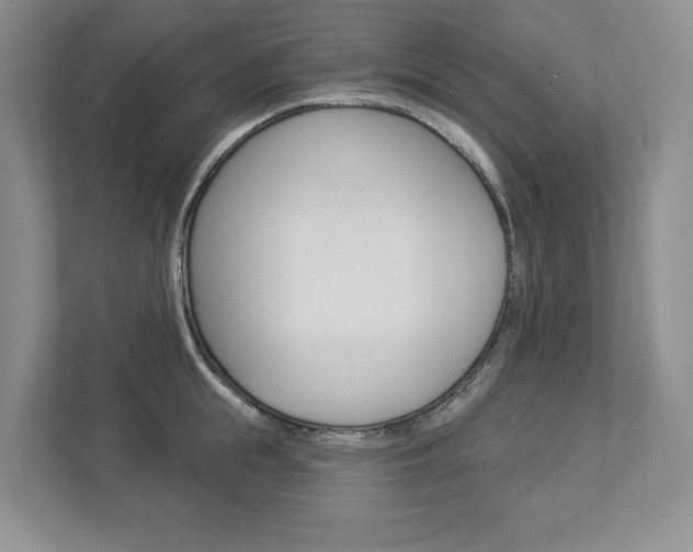 X0000112940855200908241005