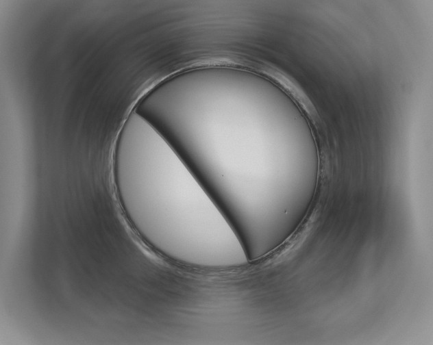 X0000112940858200908241005