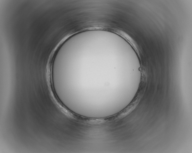 X0000112940859200908241005