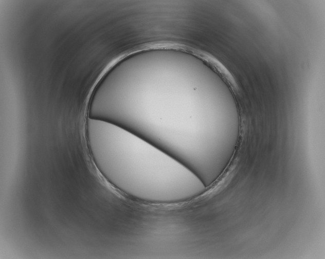 X0000112940860200908241005