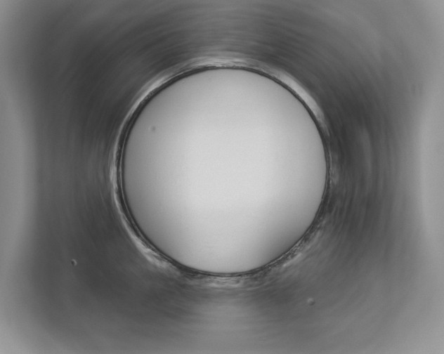 X0000112940861200908241005