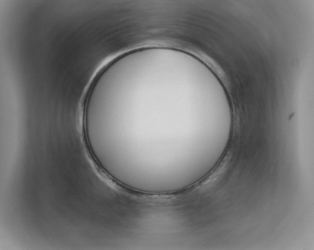 X0000112940862200908241005