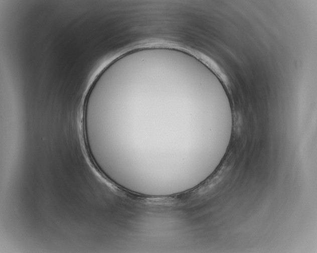 X0000112940863200908241005