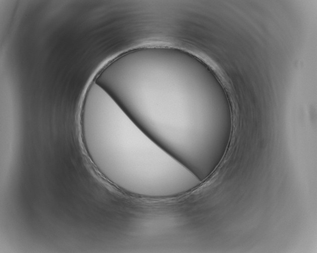 X0000112940864200908241005