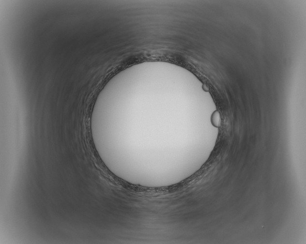 X0000112940865200908241005