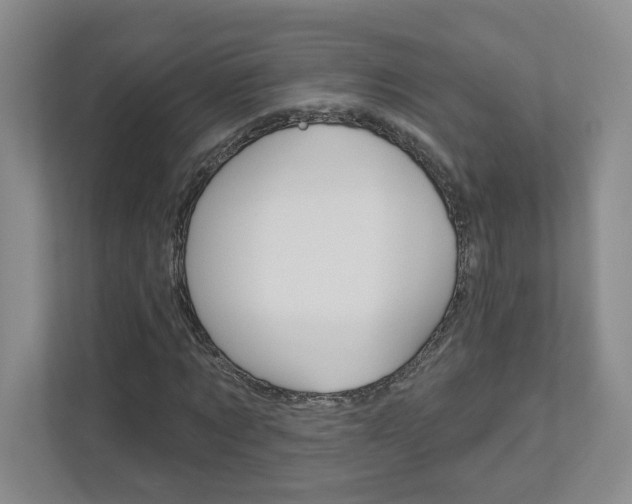 X0000112940869200908241005