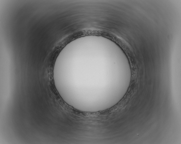 X0000112940870200908241005