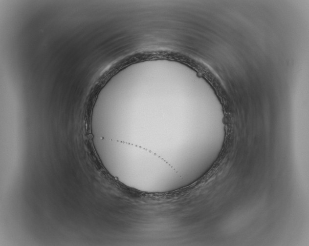X0000112940871200908241005