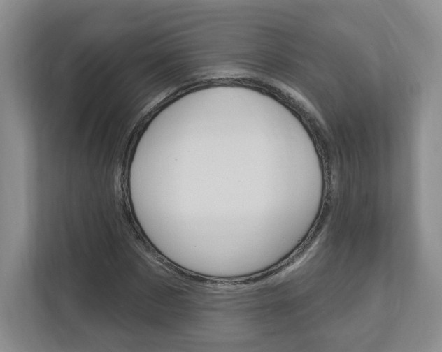 X0000112940873200908241005