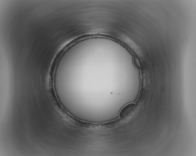 X0000112940876200908241005