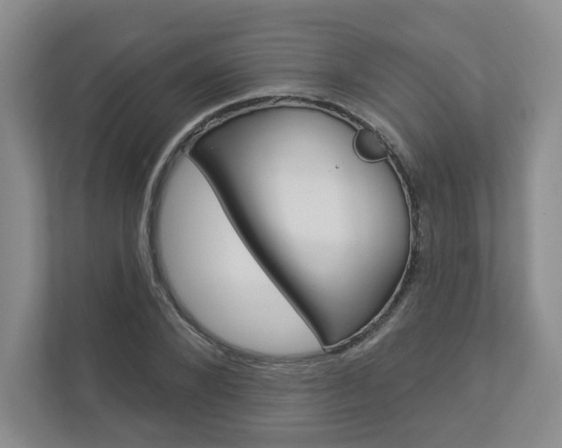 X0000112940880200908241005
