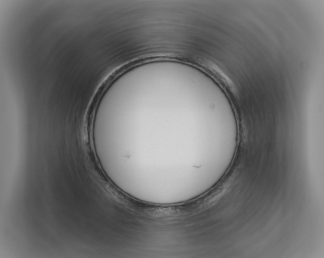 X0000112940883200908241005