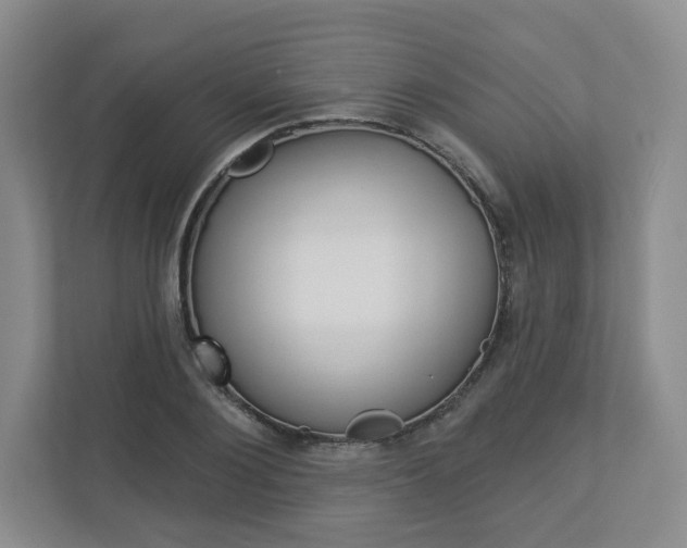 X0000112940884200908241005
