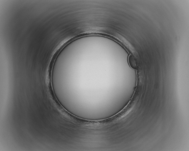 X0000112940885200908241005