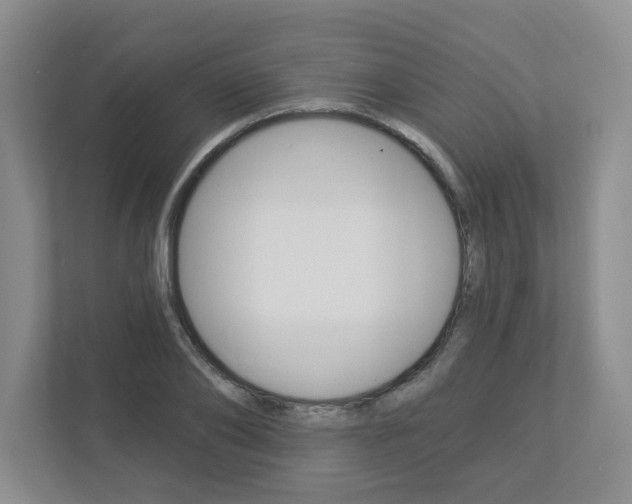 X0000112940886200908241004