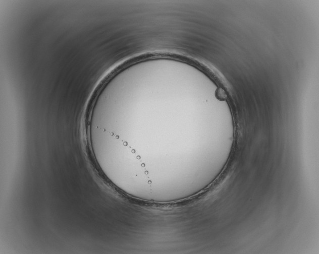 X0000112940887200908241004