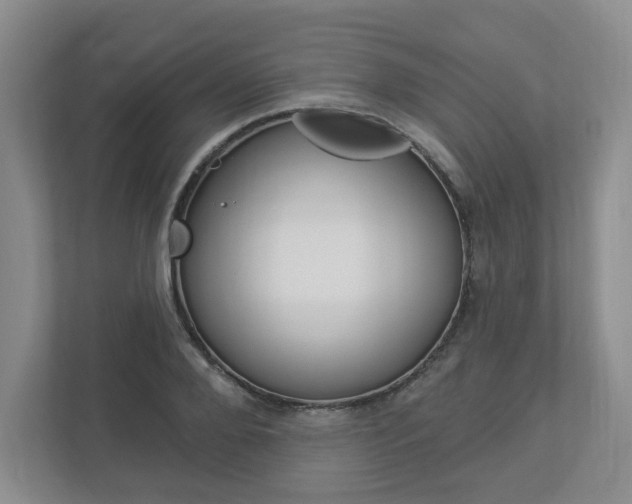 X0000112940888200908241004