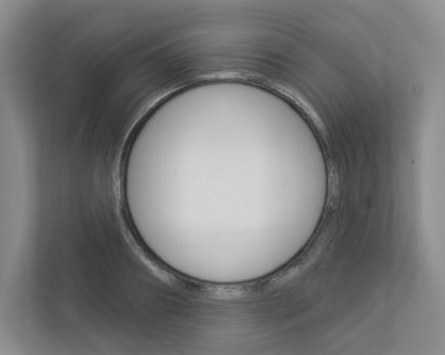 X0000112940890200908241004