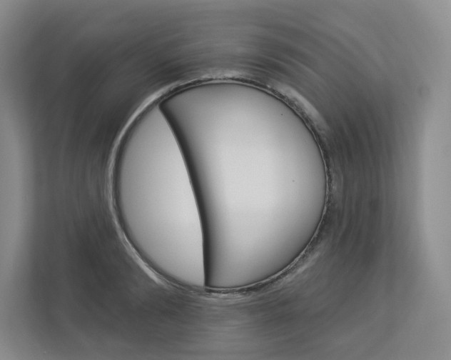 X0000112940894200908241004