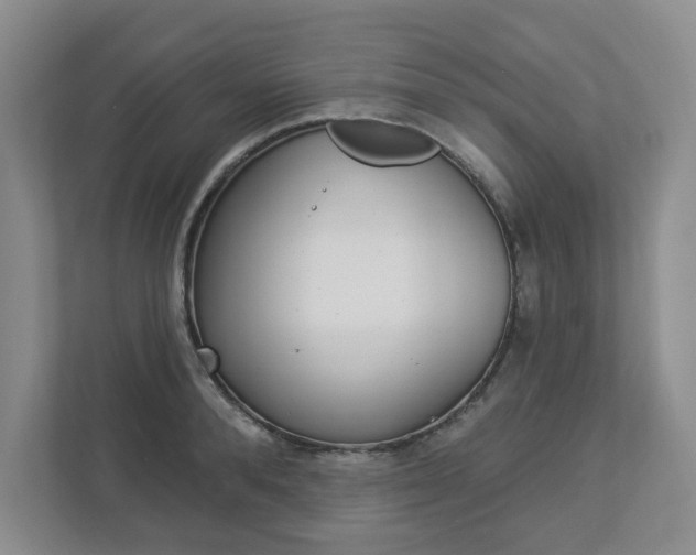 X0000112940896200908241004