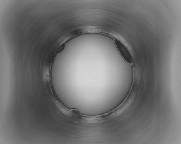 X0000112940897200908241004