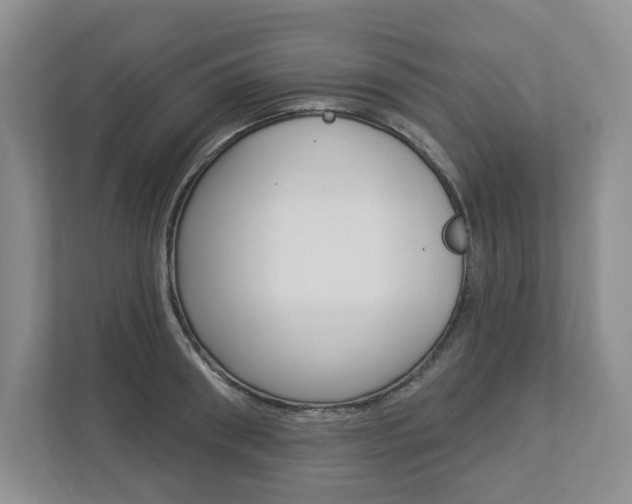 X0000112940898200908241004