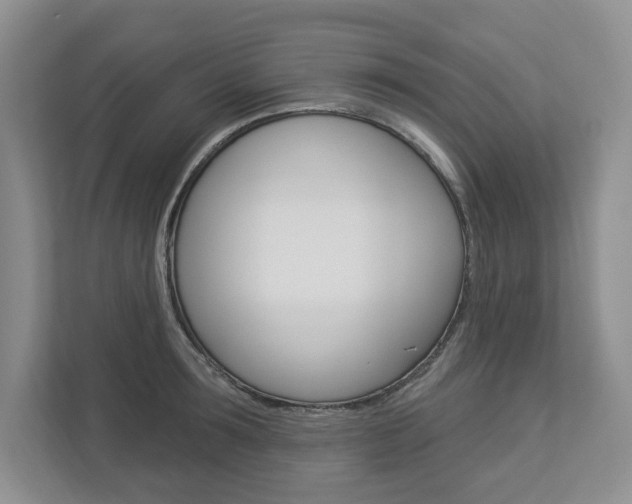 X0000112940899200908241004