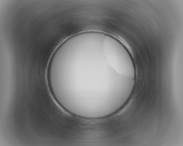 X0000112940901200908241004
