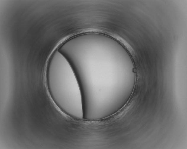 X0000112940902200908241004