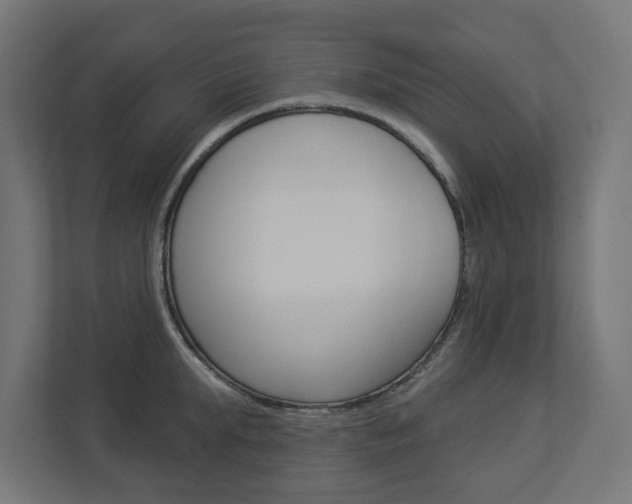 X0000112940903200908241004