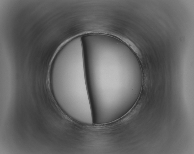 X0000112940904200908241004