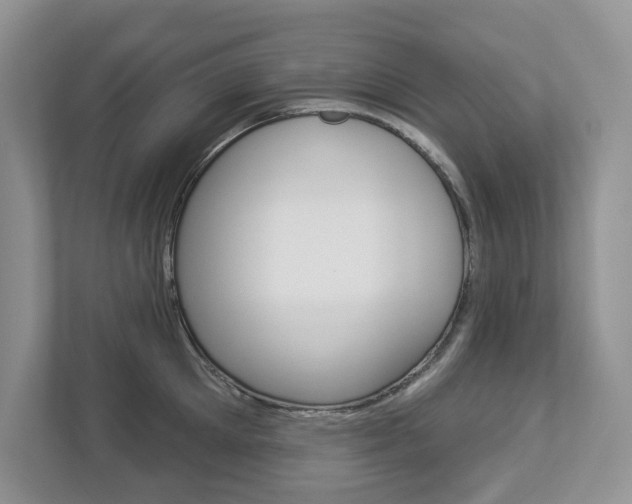 X0000112940905200908241004