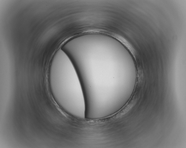 X0000112940906200908241004