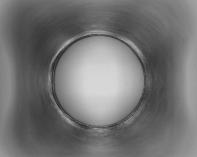 X0000112940910200908241004
