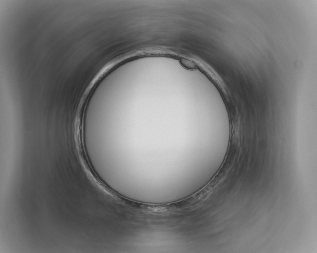 X0000112940911200908241004