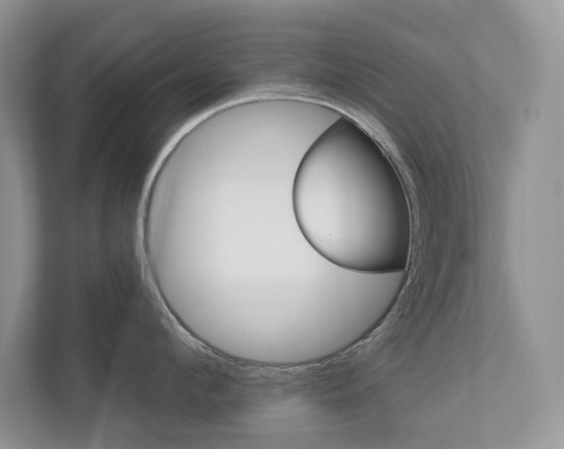 X0000112940912200908241004