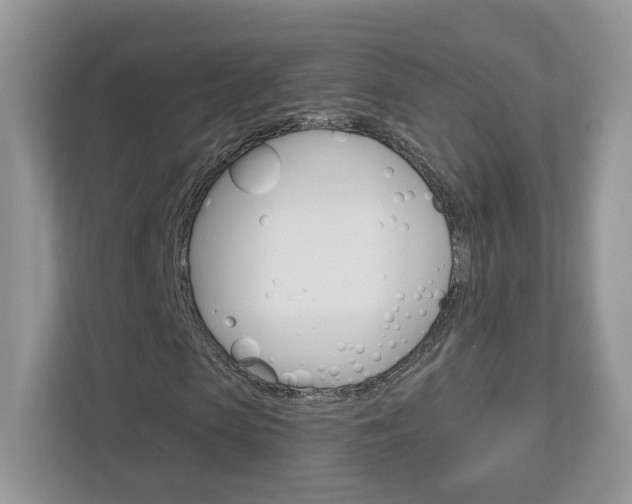 X0000112940913200908241004