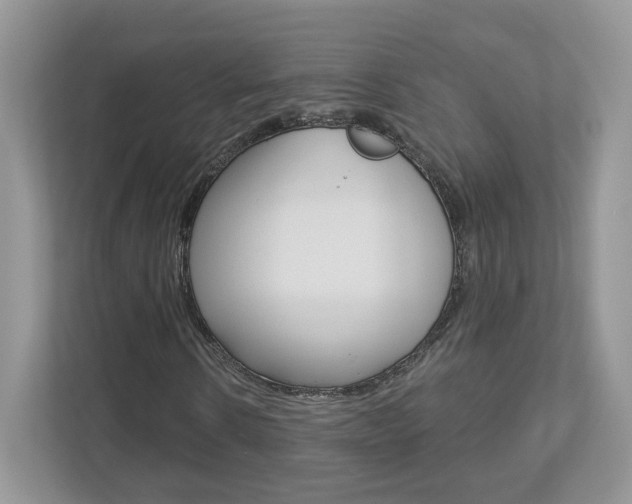 X0000112940914200908241004