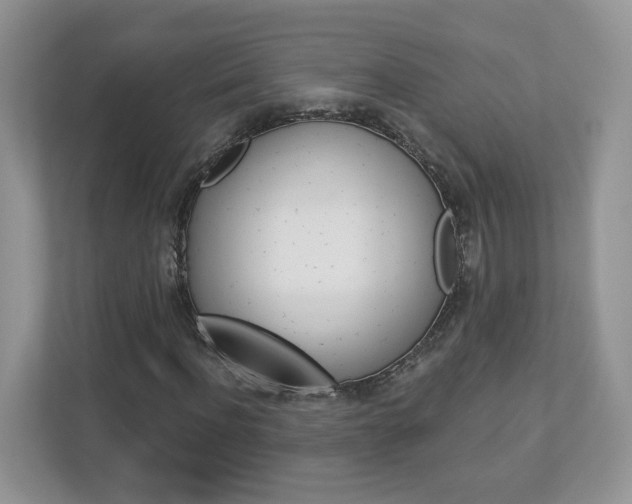 X0000112940916200908241004