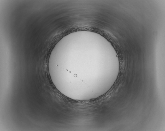 X0000112940917200908241004